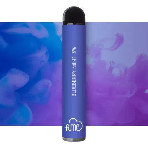 FUME EXTRA Blueberry Mint - RAZ SMOKESHOP