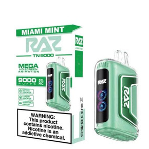 RAZ VAPE 9000 MIAMI MINT - RAZ SMOKESHOP